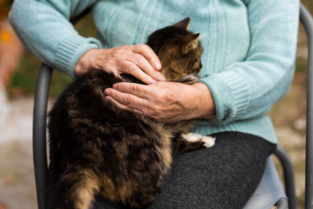 Pet Therapy for Elderly